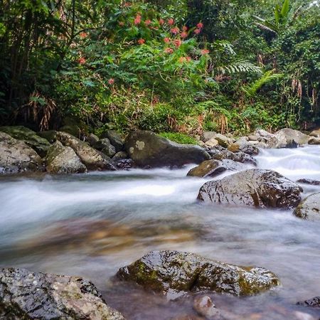 Oyo 93146 Lamin Indah Hotel Puncak Bagian luar foto